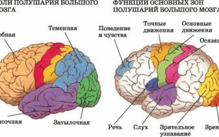 Амнестическая афазия: причины, симптомы, лечение, коррекция